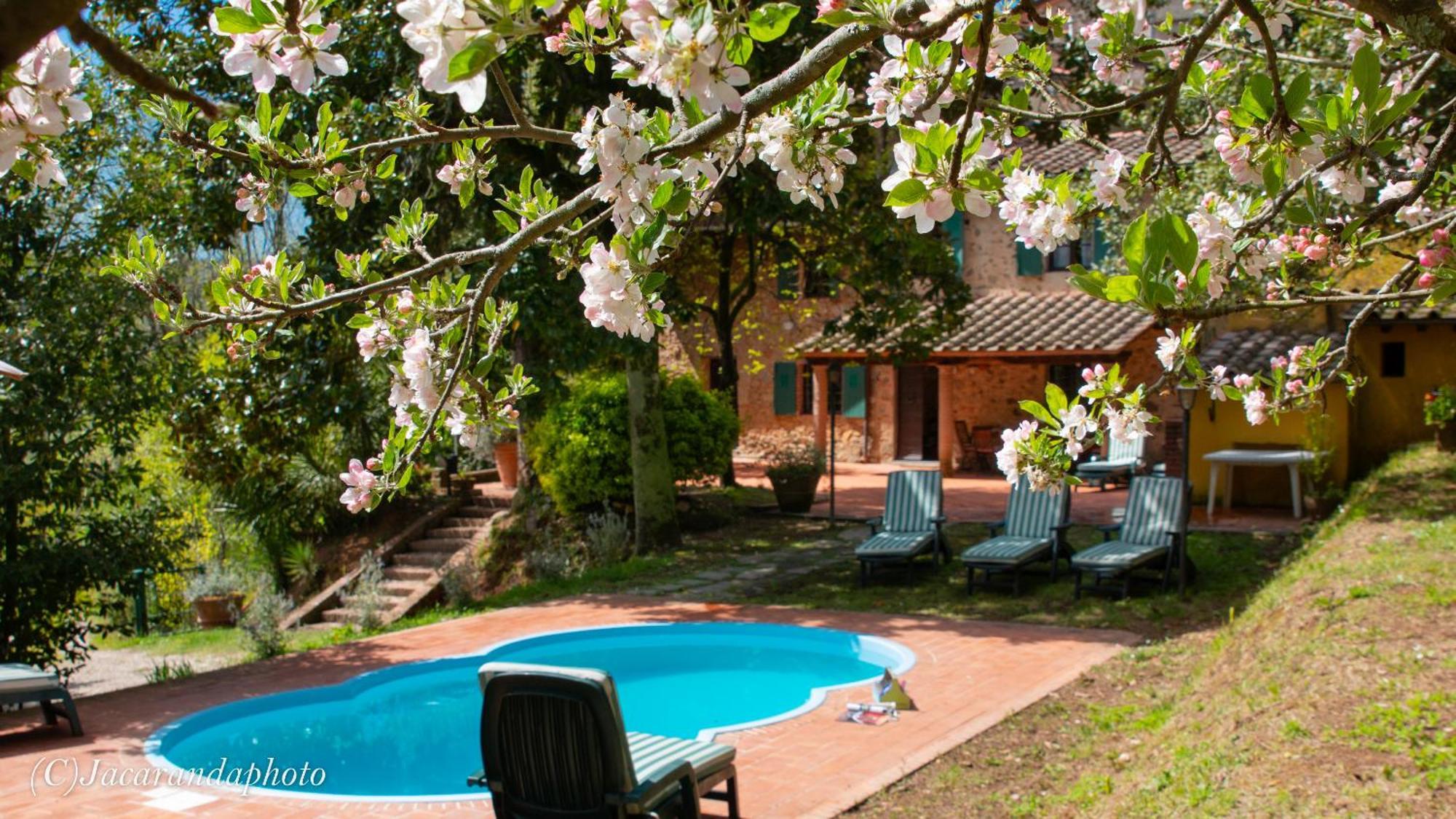 Villa La Pieve Camaiore Luaran gambar
