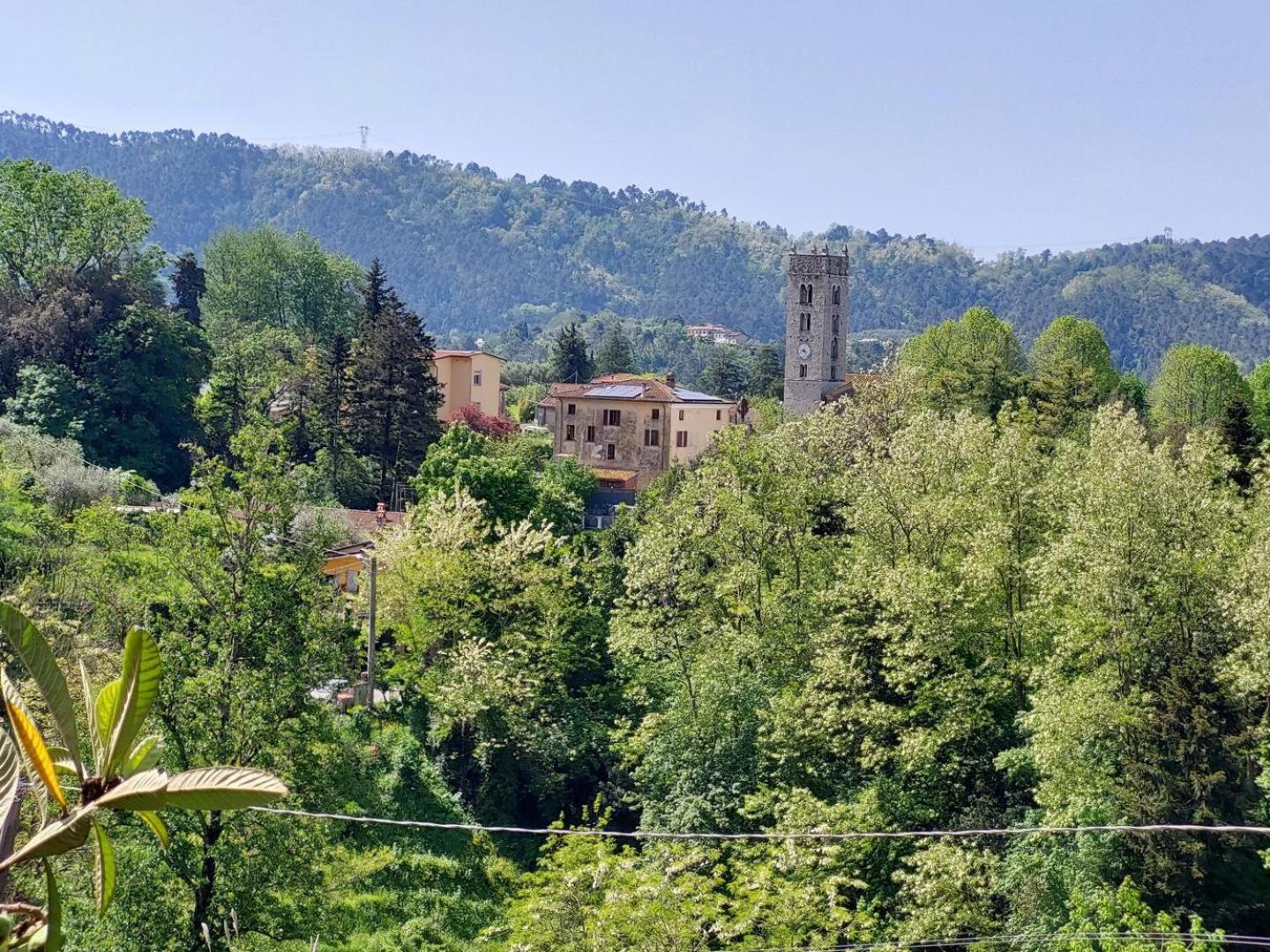 Villa La Pieve Camaiore Luaran gambar